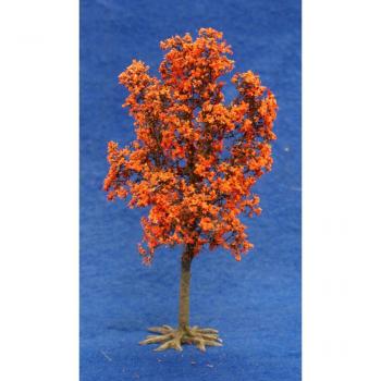 Orange Maple (autumn)--8" high x 4-5" spread--Pre-Order:  two to three months. #0