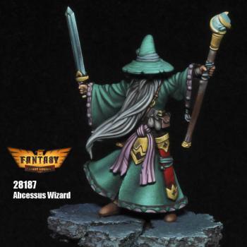 Abcessus Wizard (2 Head Variants)--28mm Resin Kit #0