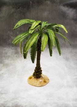 Small Palm (Desert)--approx. 7-9.5cm tall #0