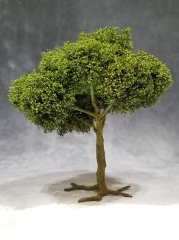Large Deciduous Tree--approx. 8-9" tall #0
