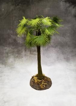 Sugar Palm (Jungle)--approx. 11cm tall #0