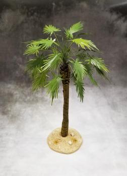 Sugar Palm (Desert)--approx. 11cm tall #0