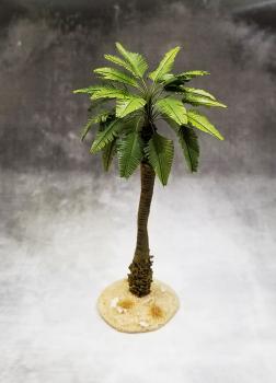 Broadleaf Palm (Desert)--approx. 7-9.5cm tall #0