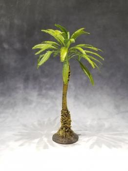 Large Jungle Palm--approx. 20cm tall #0