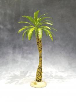Large Desert Palm--approx. 20cm tall #0