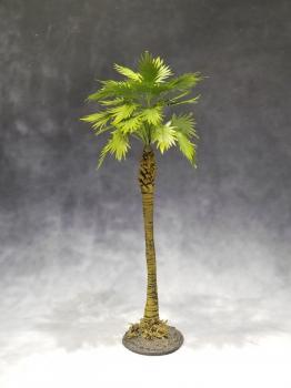 Large Jungle Sugar Palm--approx. 20cm tall #0
