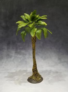 Large Jungle Broadleaf Palm--approx. 20cm tall #0