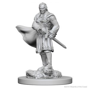 Image for Wizk!ds Dungeons and Dragons Miniatures! #1