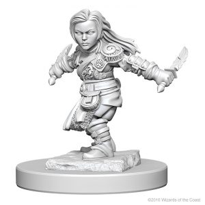 Image for Wizk!ds Dungeons and Dragons Miniatures! #1