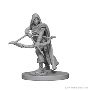 Image for Wizk!ds Dungeons and Dragons Miniatures! #1