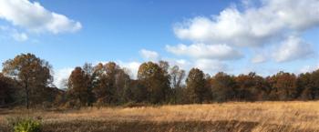 Open Field Scenic Backdrop--31 in. W x 13 in. H Open Field Scenic Backdrop--31 in. W x 13 in. H #47809