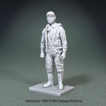 German Luftwaffe Bomber Pilot Kit--1/30 Scale Resin and Metal Kit; Unpainted, Unassembled #0