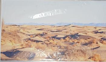 Desert Scene Backdrop--17 in. x 11 in.--RETIRED--LAST ONE!! Desert Scene Backdrop--17 in. x 11 in.--RETIRED--LAST ONE!! #37225