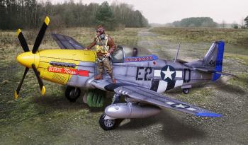 P-51 ”Detroit Miss“--single airplane with standing pilot #50178