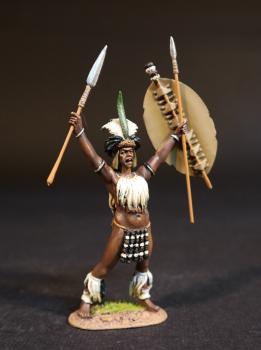 Zulu Warriors (standing, raising asegai in right hand, shield and spear in left hand), The uThulwana Regiment, The Zulu Impi, Battle of Gingindhlovu, 2nd April 1879--single figure #51981