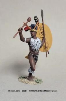 Image of Zulu Warrior Urging Men Forward, 1879--single advancing figure wielding knobknorrie and holding asegai and shield #52283