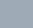 Surface Primer: USN Light Ghost Grey Primer--17 ml. bottle #52858