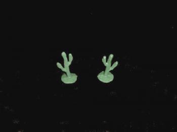 Cactus 2 in 1 pose (green) -- RETIRED -- THREE LEFT!! Cactus 2 in 1 pose (green) -- RETIRED -- THREE LEFT!! #10997