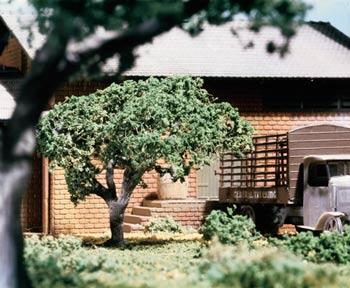 Ornamental Trees (5 pcs - 2-1/2 #12541