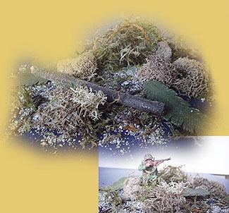 Pacific Jungle Debris Set #1--RETIRED--LAST THREE!! Pacific Jungle Debris Set #1--RETIRED--LAST THREE!! #14150
