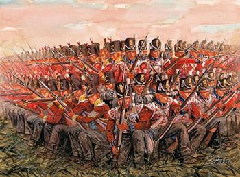 Napoleonic British Infantry, 1815--48 figures in 16 poses Napoleonic British Infantry, 1815--48 figures in 16 poses #14729