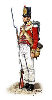 Peninsular War British Infantry--92 figures in 16 poses and extra heads Peninsular War British Infantry--92 figures in 16 poses and extra heads #18345