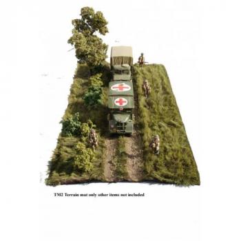 Long grass mat with dirt track--13" x 30"--TWO IN STOCK. #20867