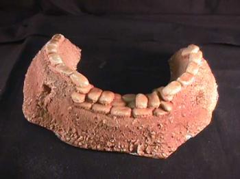 Curved Gun Emplacement--RETIRED--LAST ONE!! Curved Gun Emplacement--RETIRED--LAST ONE!! #307