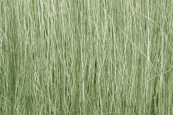 Field Grass Light Green #26726