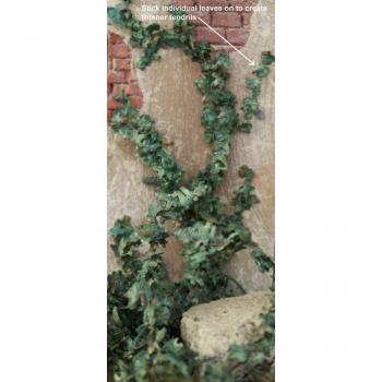 Ivy--small bag of green ivy--SIX IN STOCK. Ivy--small bag of green ivy--SIX IN STOCK. #29095