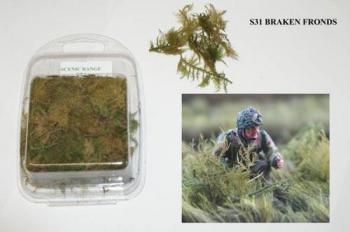 Loose Bracken Fronds--FIVE IN STOCK. #29096