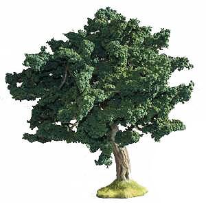 Small Oak--8.5" high x 7" diameter--TWO IN STOCK. #3828