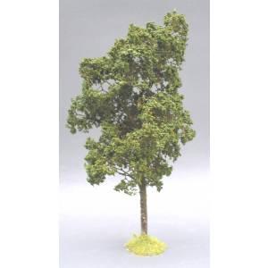 Mountain Ash Tree--approximately 8 in. tall--Pre-Order: 2 to 3 months. #0