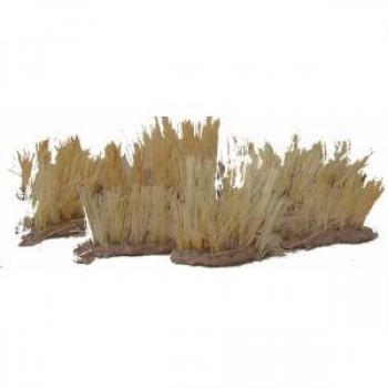 Elephant Grass--up to 10 per pack--FOUR IN STOCK. #3876