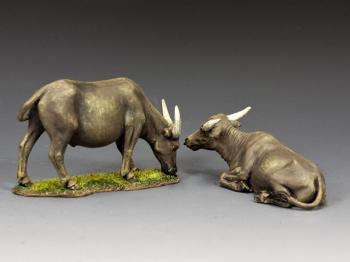 A Pair of Water Buffaloes--two figures #43646