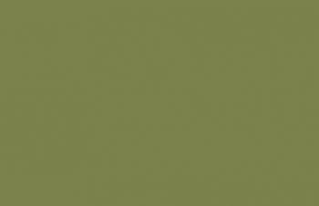 (086) Luftwaffe Camouflage Green--17 ml. bottle #7672