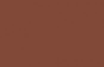 (145) SS Camouflage Medium Brown--17 ml. bottle #7675