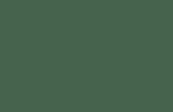 (080) SS Camouflage Light Green--17 ml. bottle #7686