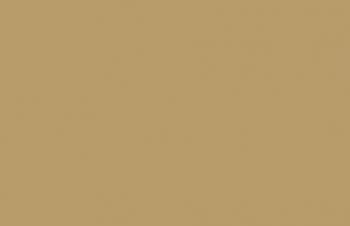 (123) VMC Dark Sand--17 ml. bottle #7704