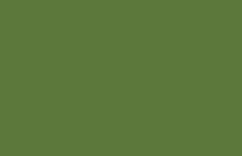 (081) VMC Medium Olive--17 ml. bottle #7708