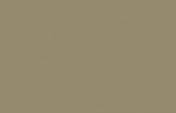 (113) VMC Khaki Grey--17 ml. bottle #7746