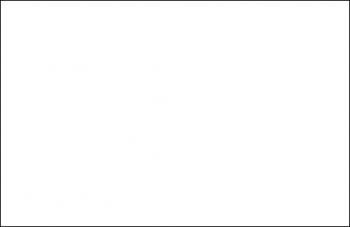 (002) VMC Foundation White/Cold White--17 ml. bottle #7804