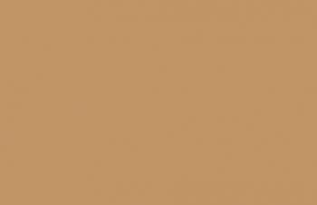 (019) VMC Dark Flesh--17 ml. bottle #7813