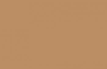 (129) VMC Light Brown--17 ml. bottle #7815