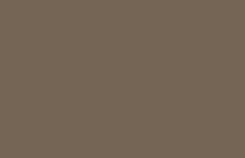 (148) VMC Burnt Umber--17 ml. bottle #7826