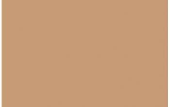 (018) VMC Flat Flesh--17 ml. bottle #7840