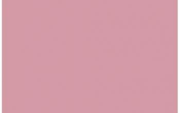 (040) VMC Pink--17 ml. bottle #7843