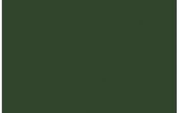 (083) VMC Flat Green--17 ml. bottle #7853