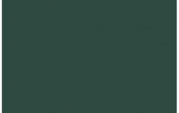 (072) VMC Deep Green--17 ml. bottle #7855