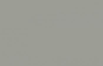 (155) VMC Light Grey--17 ml. bottle #7875